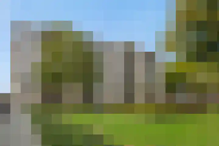 Pettelaarseweg 205 's-Hertogenbosch thumbnail 4