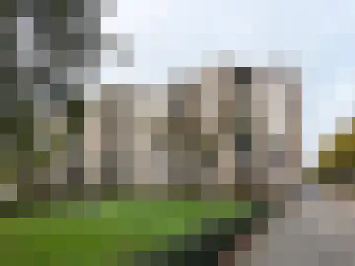 Pettelaarseweg 211 's-Hertogenbosch thumbnail 26