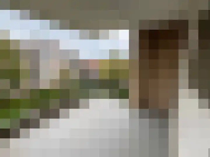 Pettelaarseweg 211 's-Hertogenbosch thumbnail 4
