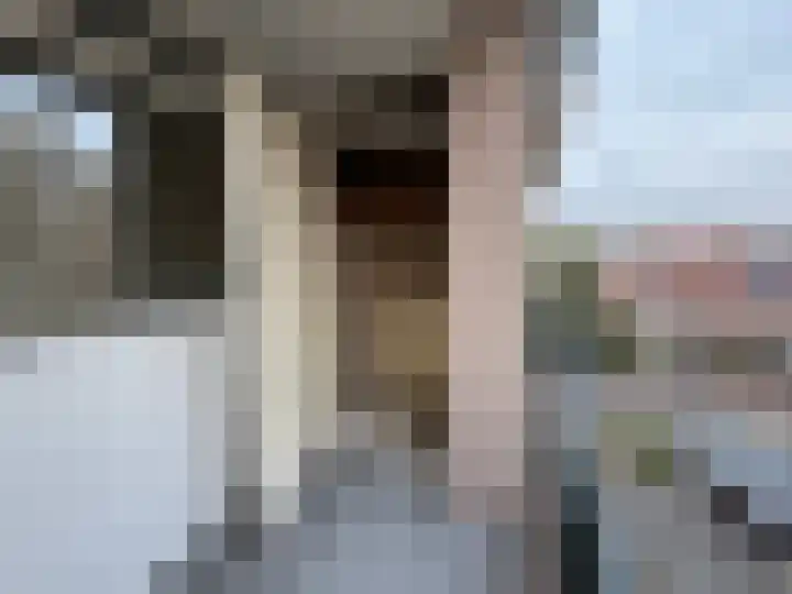 Pettelaarseweg 211 's-Hertogenbosch thumbnail 6