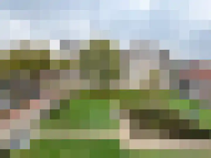 Pettelaarseweg 211 's-Hertogenbosch thumbnail 7