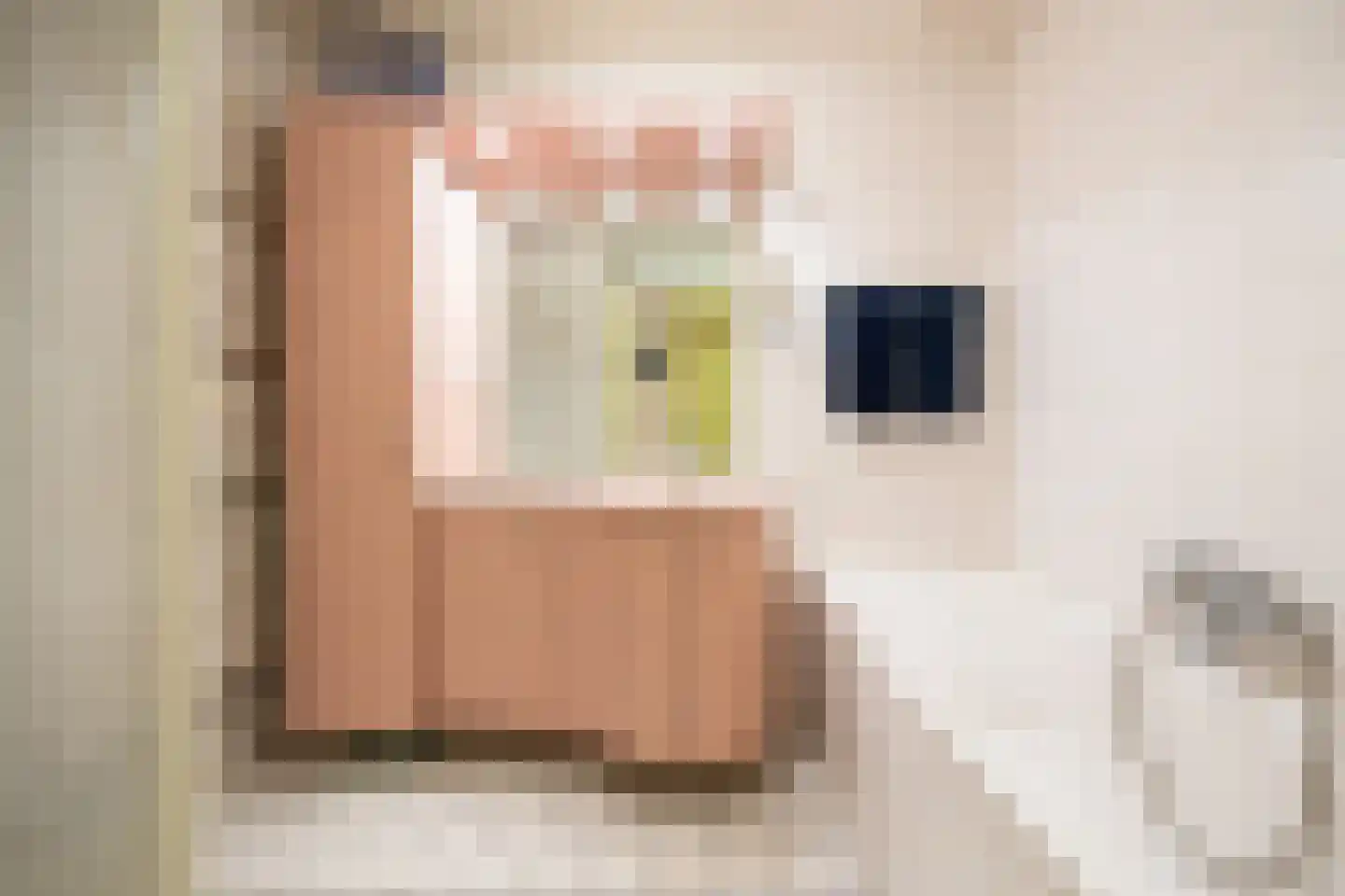 Pettelaarseweg 243 D 's-Hertogenbosch thumbnail 17