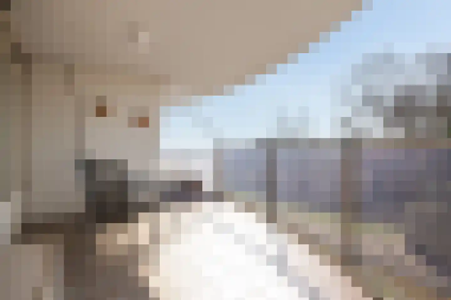 Pettelaarseweg 243 D 's-Hertogenbosch thumbnail 19