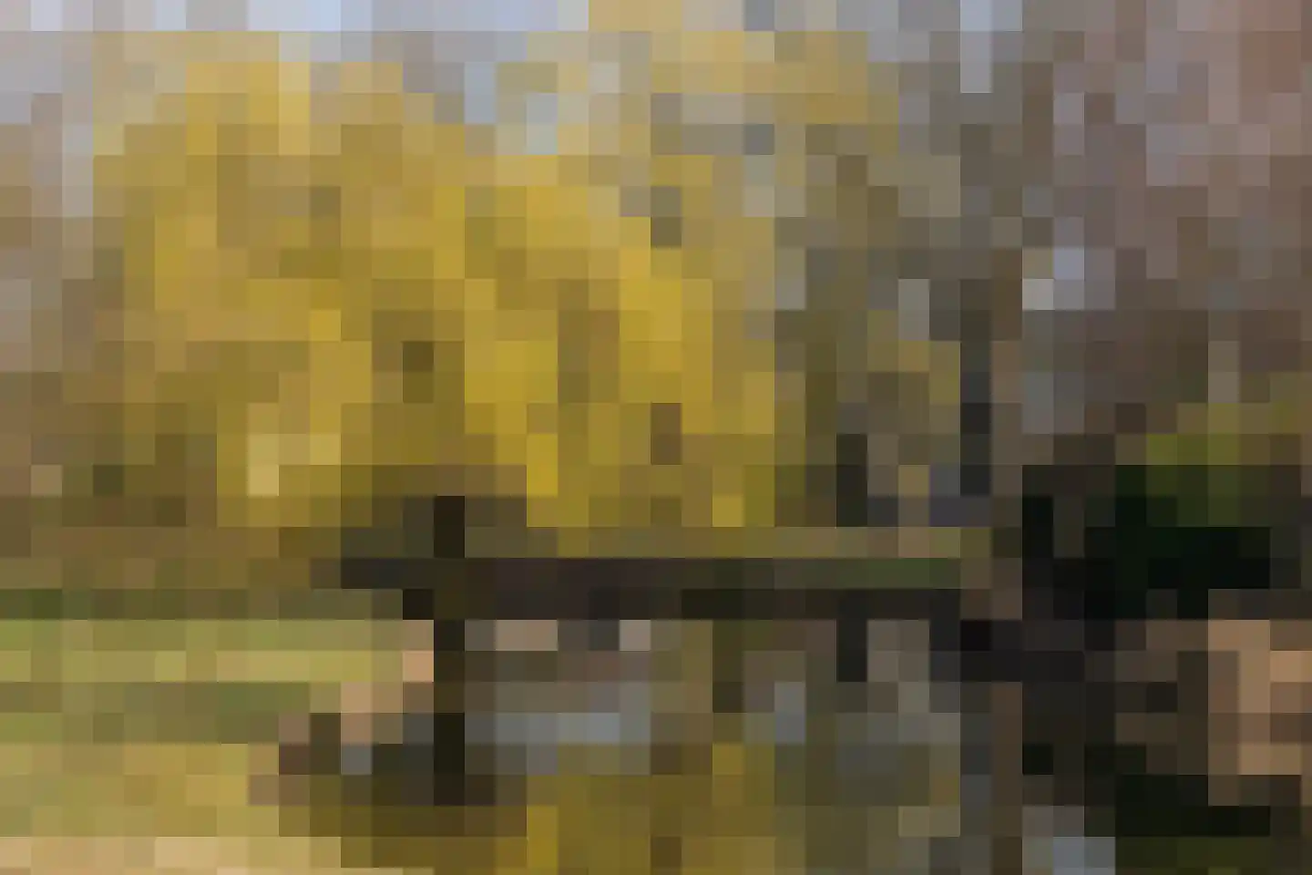 Pettelaarseweg 243 D 's-Hertogenbosch thumbnail 29