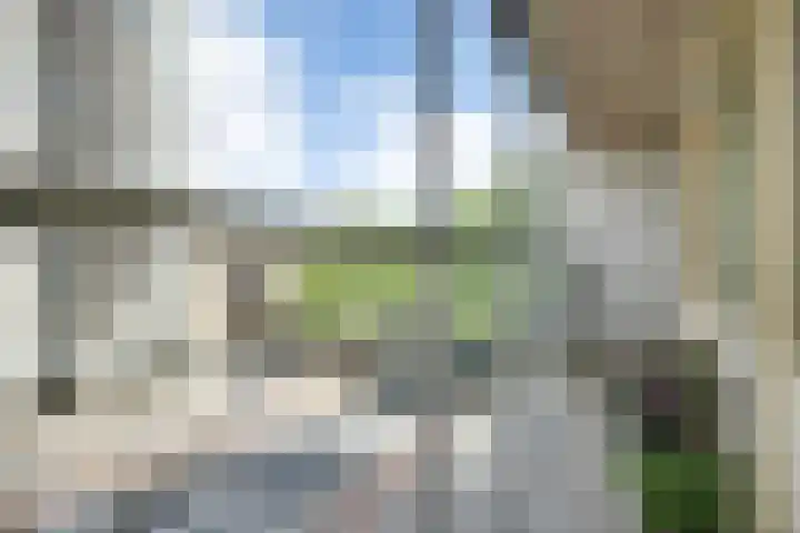 Pettelaarseweg 245 's-Hertogenbosch thumbnail 19
