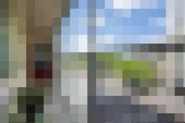 Pettelaarseweg 245 's-Hertogenbosch thumbnail 20