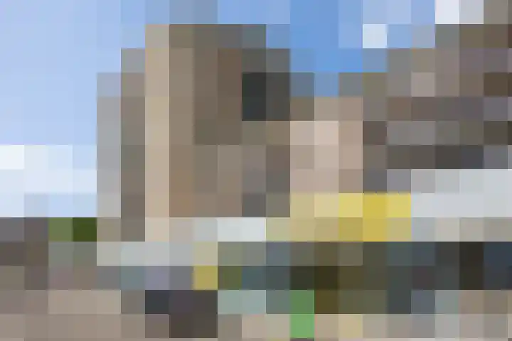 Pettelaarseweg 245 's-Hertogenbosch thumbnail 31