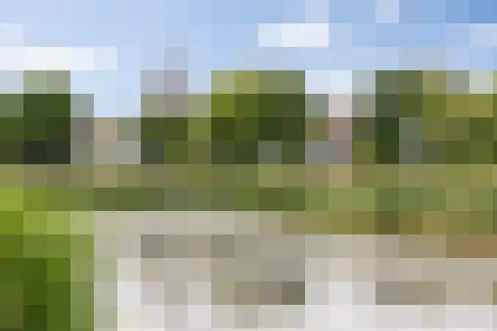 Pettelaarseweg 245 's-Hertogenbosch thumbnail 34