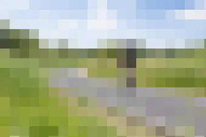 Pettelaarseweg 245 's-Hertogenbosch thumbnail 35