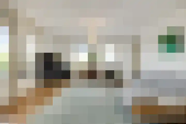 Pettelaarseweg 245 's-Hertogenbosch thumbnail 5