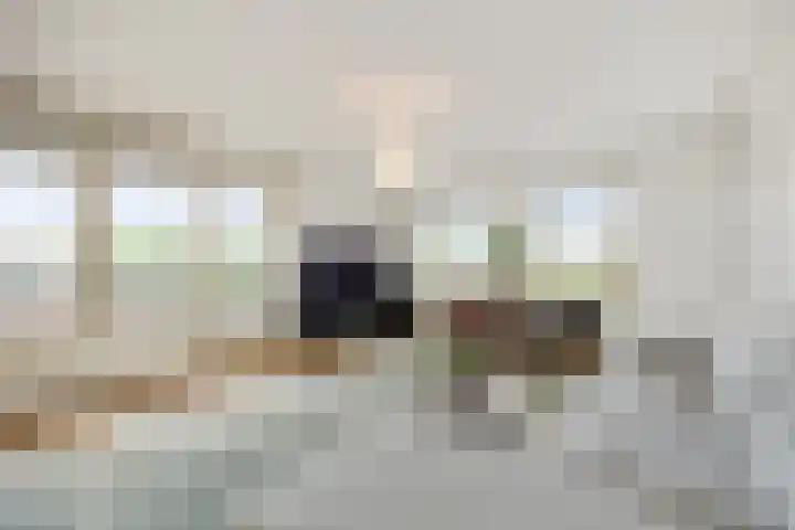 Pettelaarseweg 245 's-Hertogenbosch thumbnail 7