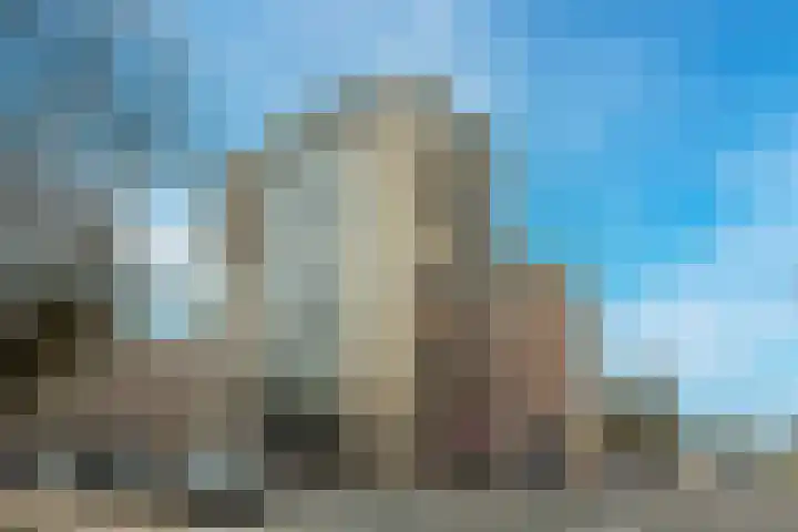 Pettelaarseweg 247 A 's-Hertogenbosch thumbnail 8