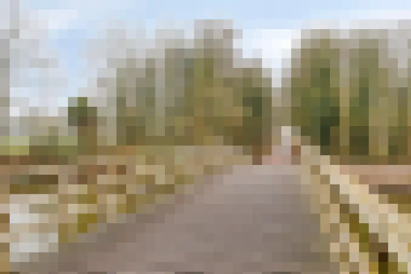 Pettelaarseweg 247 D 's-Hertogenbosch thumbnail 24