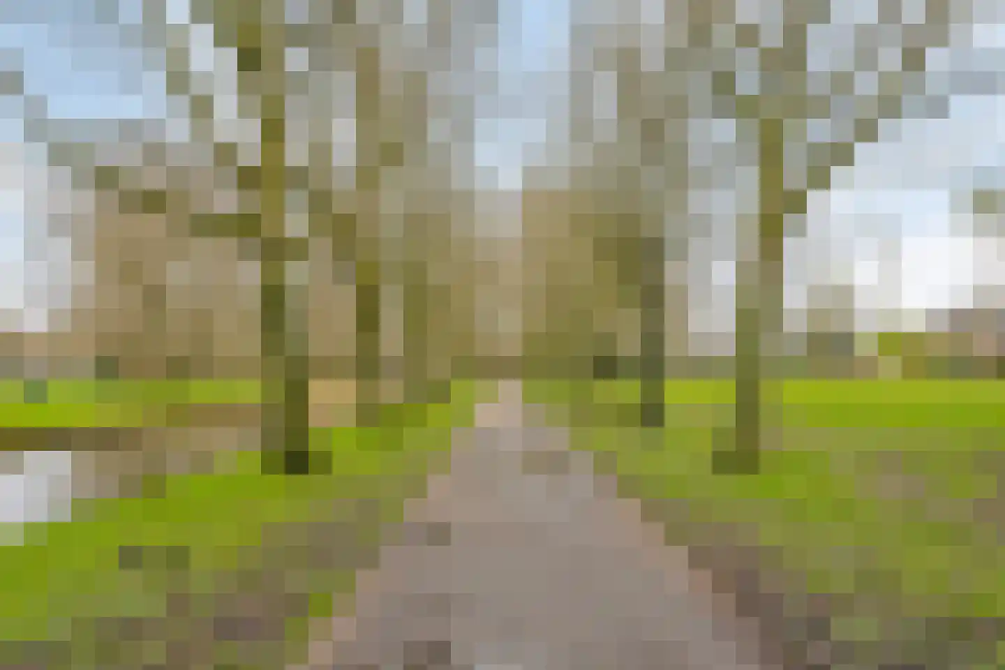 Pettelaarseweg 247 D 's-Hertogenbosch thumbnail 27