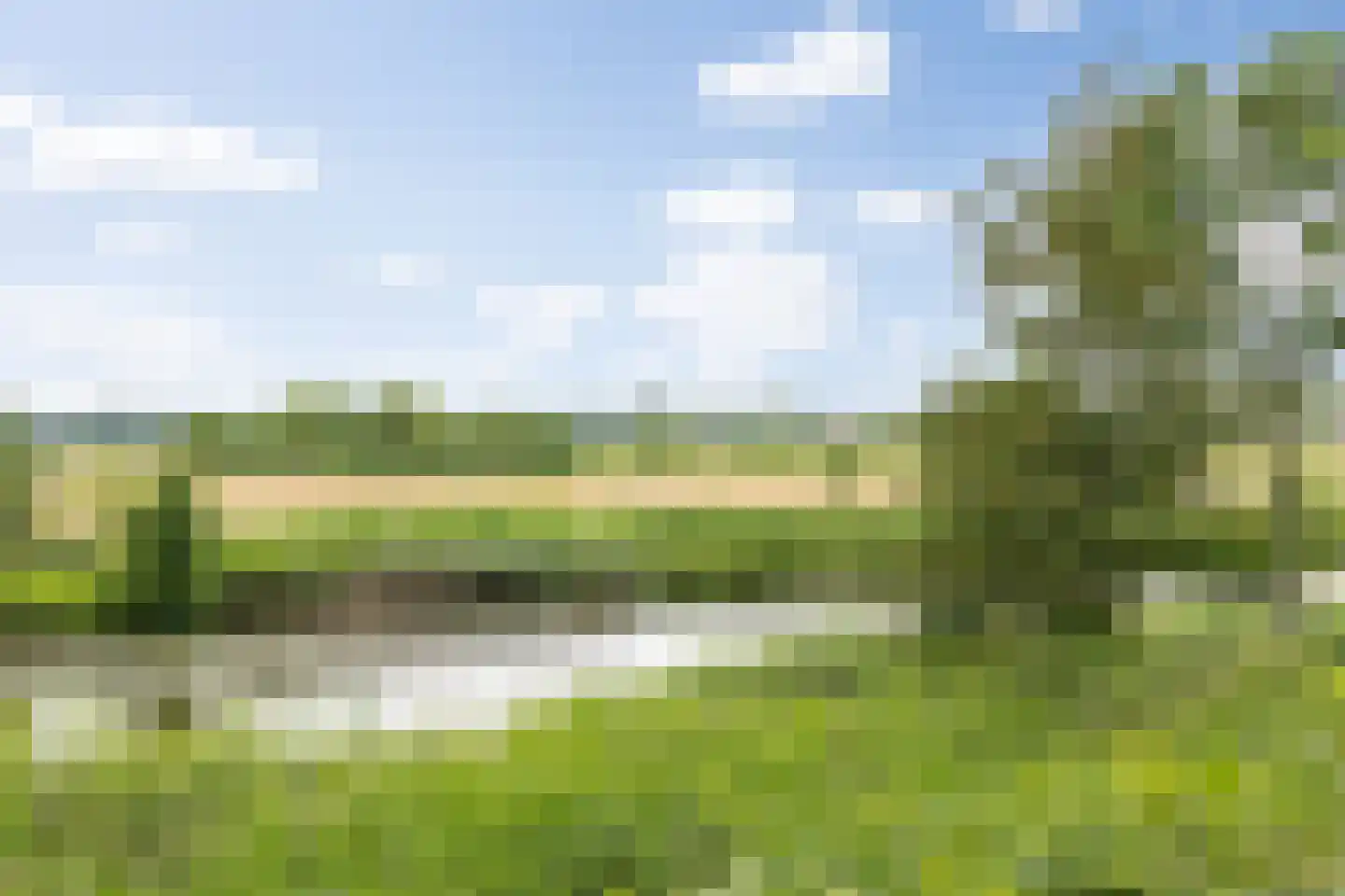 Pettelaarseweg 247 D 's-Hertogenbosch thumbnail 35