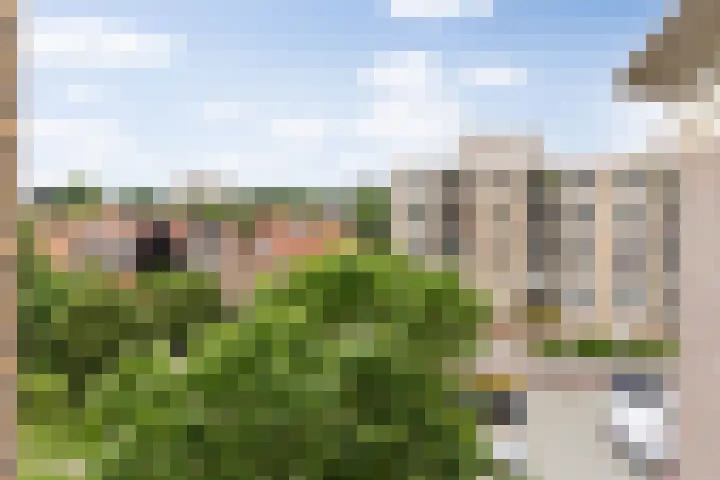 Pettelaarseweg 247 D 's-Hertogenbosch thumbnail 6