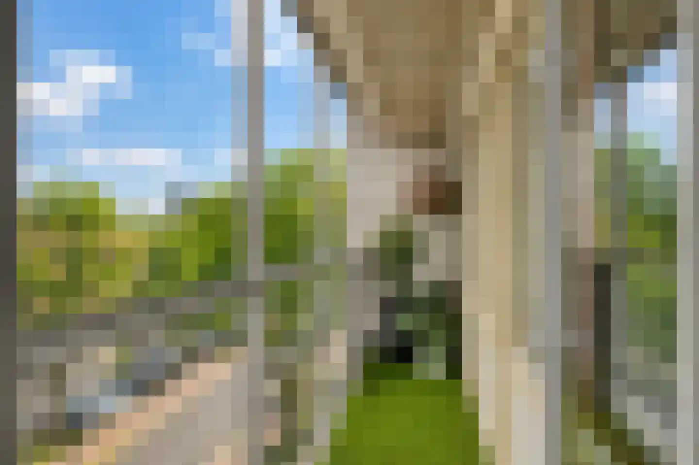 Pettelaarseweg 247 's-Hertogenbosch thumbnail 12