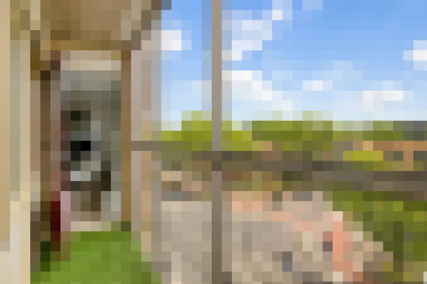 Pettelaarseweg 247 's-Hertogenbosch thumbnail 13