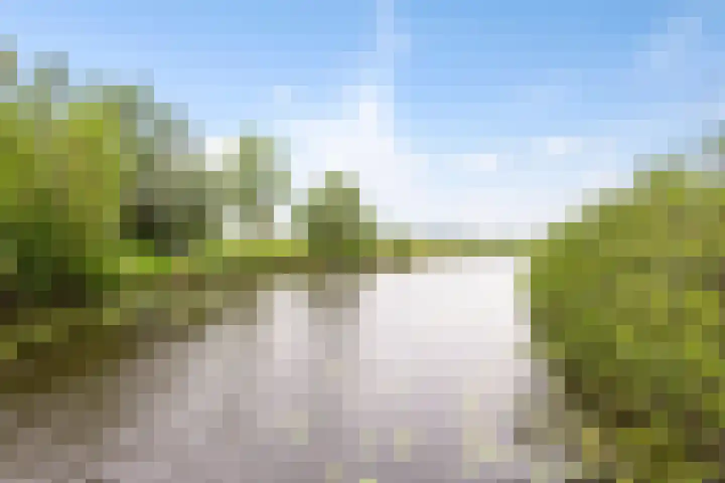 Pettelaarseweg 247 's-Hertogenbosch thumbnail 28