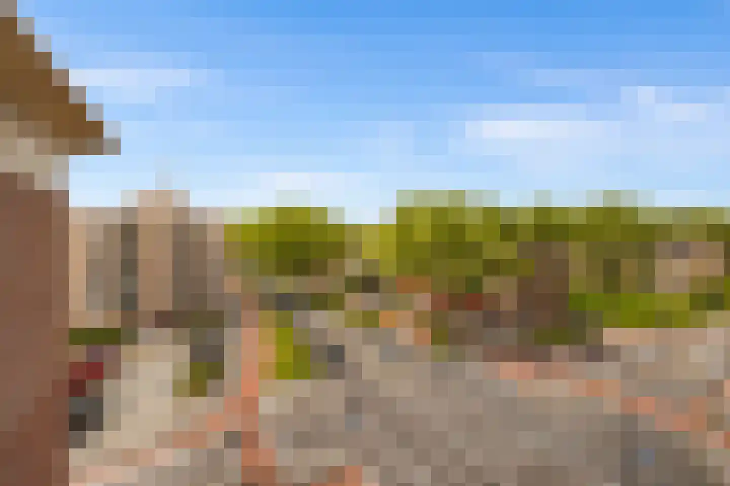 Pettelaarseweg 247 's-Hertogenbosch thumbnail 8