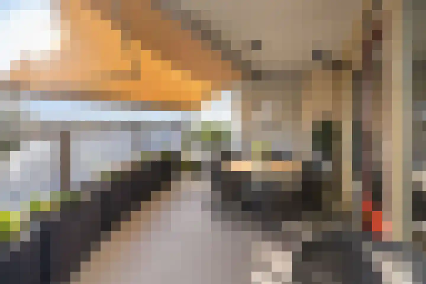 Pettelaarseweg 251 B 's-Hertogenbosch thumbnail 9