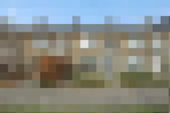 Pettelaarseweg 270 's-Hertogenbosch thumbnail 8
