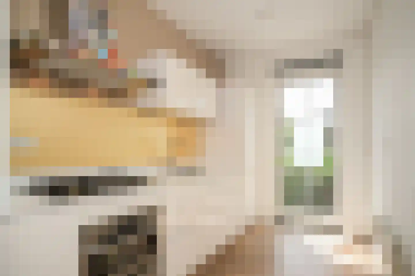 Pettelaarseweg 33 's-Hertogenbosch thumbnail 22