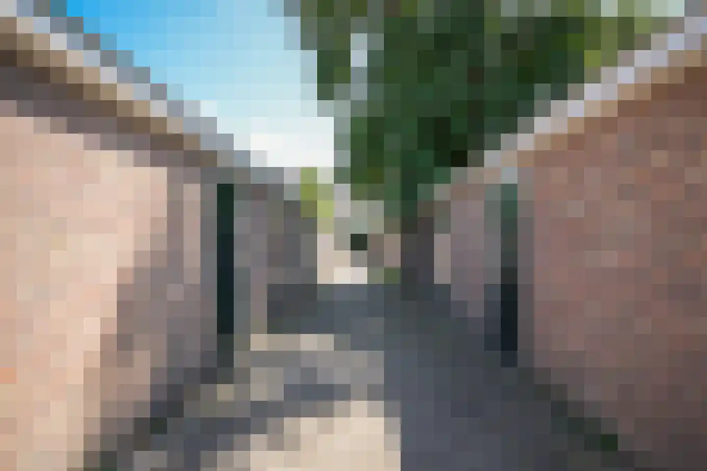 Pettelaarseweg 33 's-Hertogenbosch thumbnail 36