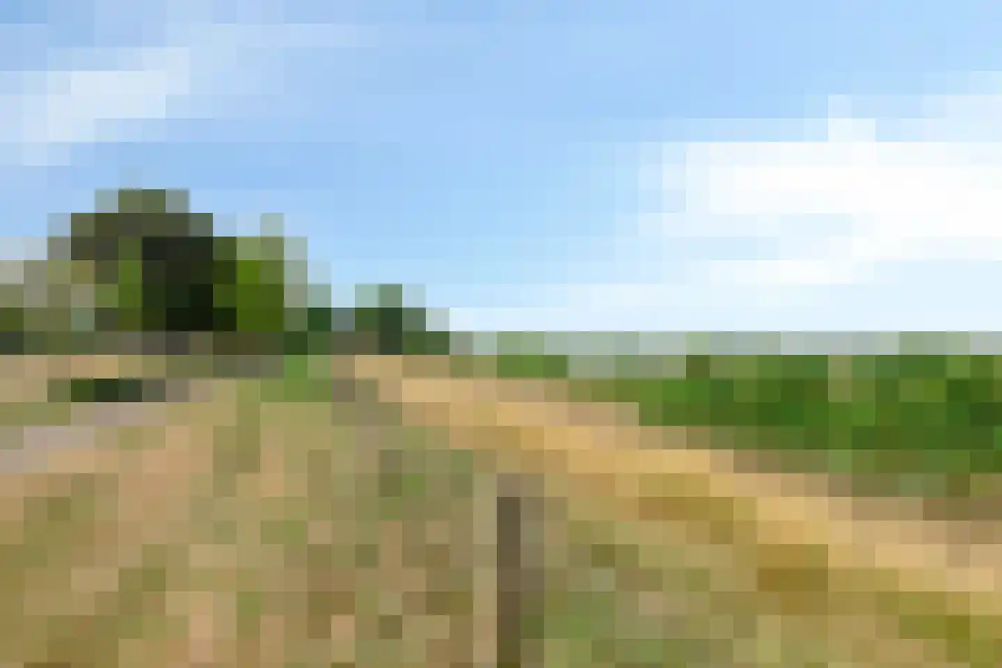 Pettelaarseweg 33 's-Hertogenbosch thumbnail 37