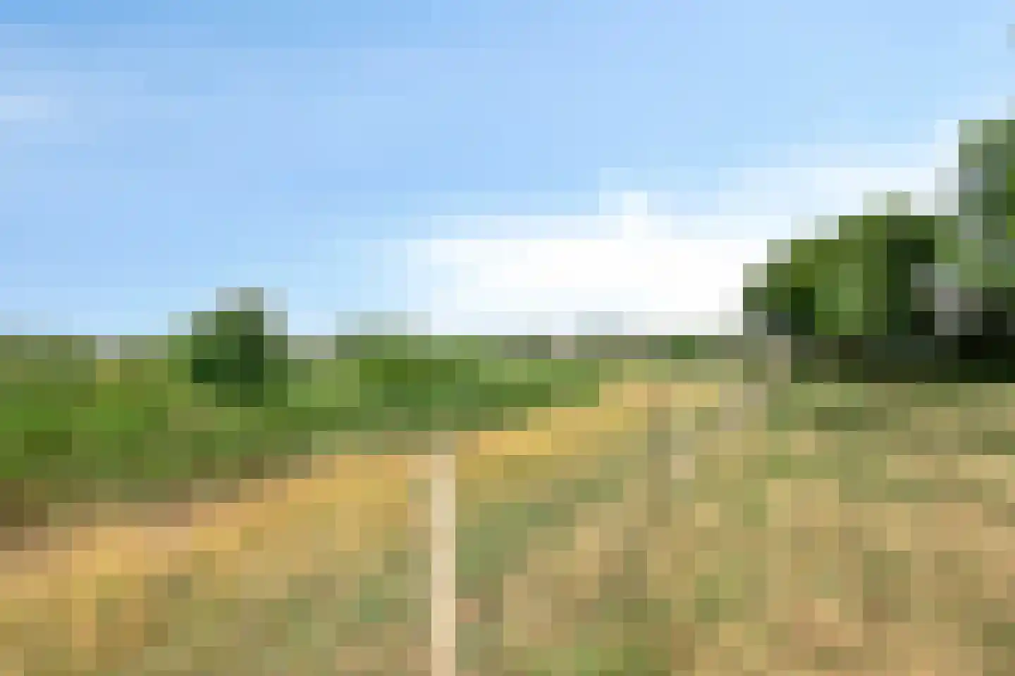 Pettelaarseweg 33 's-Hertogenbosch thumbnail 38