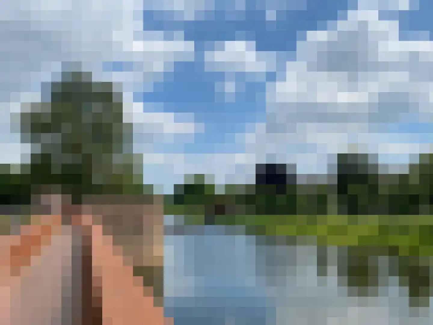 Pettelaarseweg 33 's-Hertogenbosch thumbnail 40