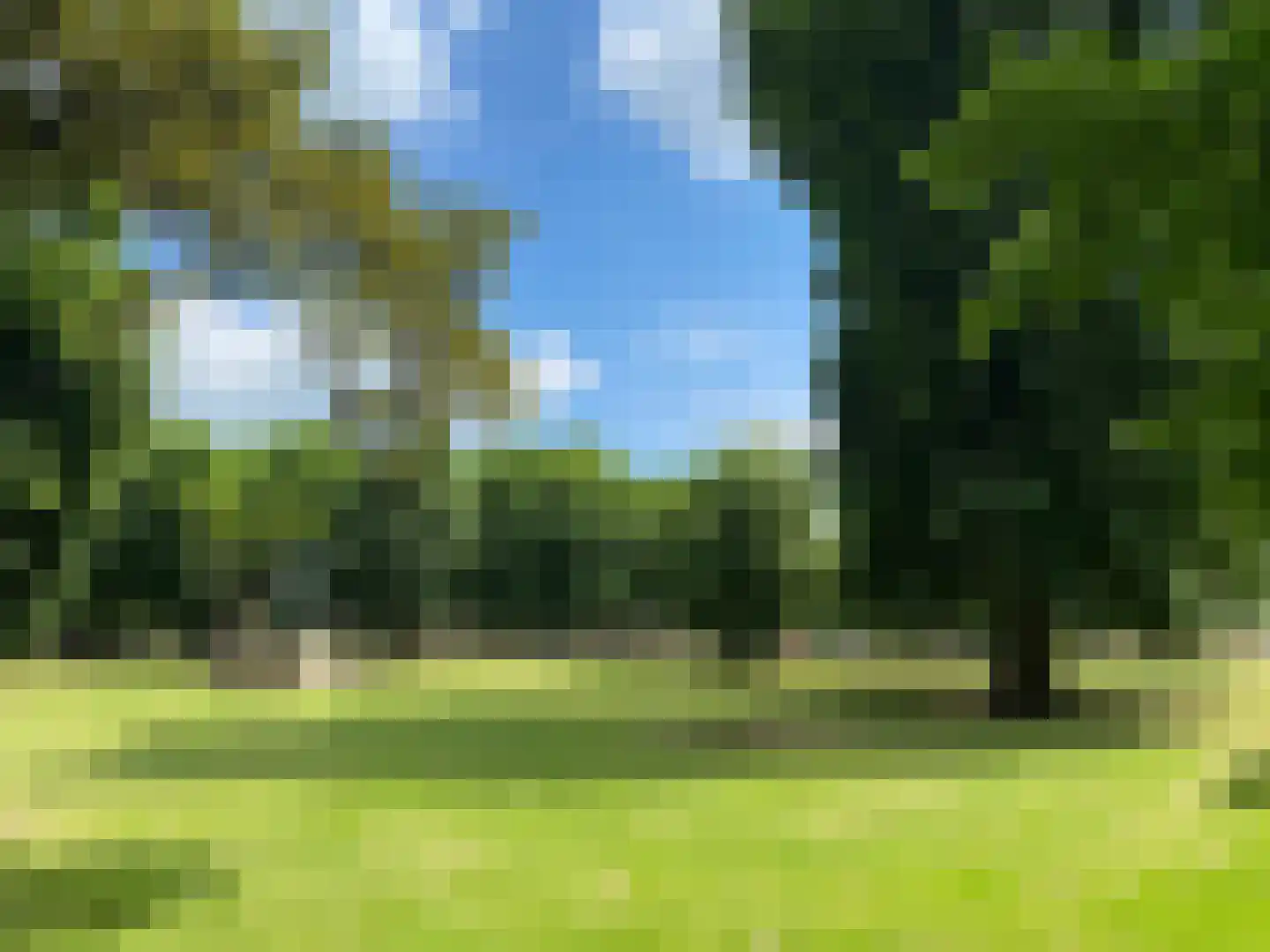 Pettelaarseweg 33 's-Hertogenbosch thumbnail 41