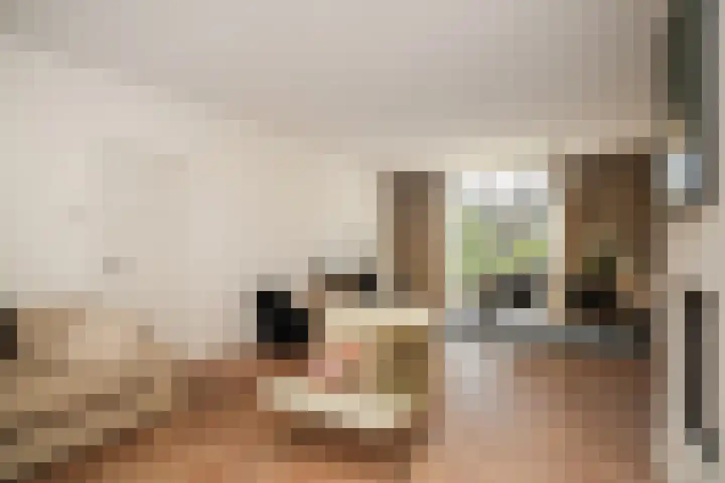 Pettelaarseweg 33 's-Hertogenbosch thumbnail 8