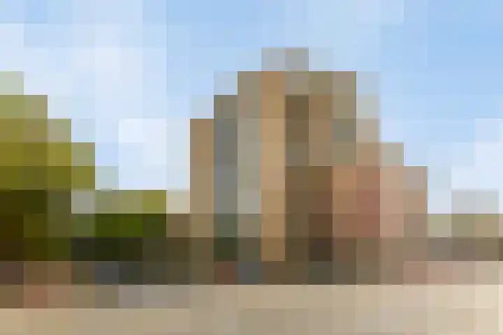 Pettelaarseweg 361 's-Hertogenbosch thumbnail 19
