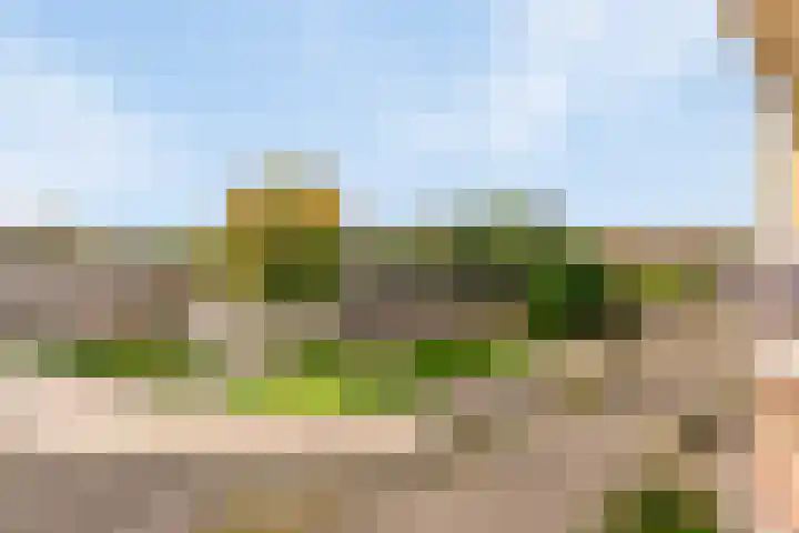 Pettelaarseweg 361 's-Hertogenbosch thumbnail 4