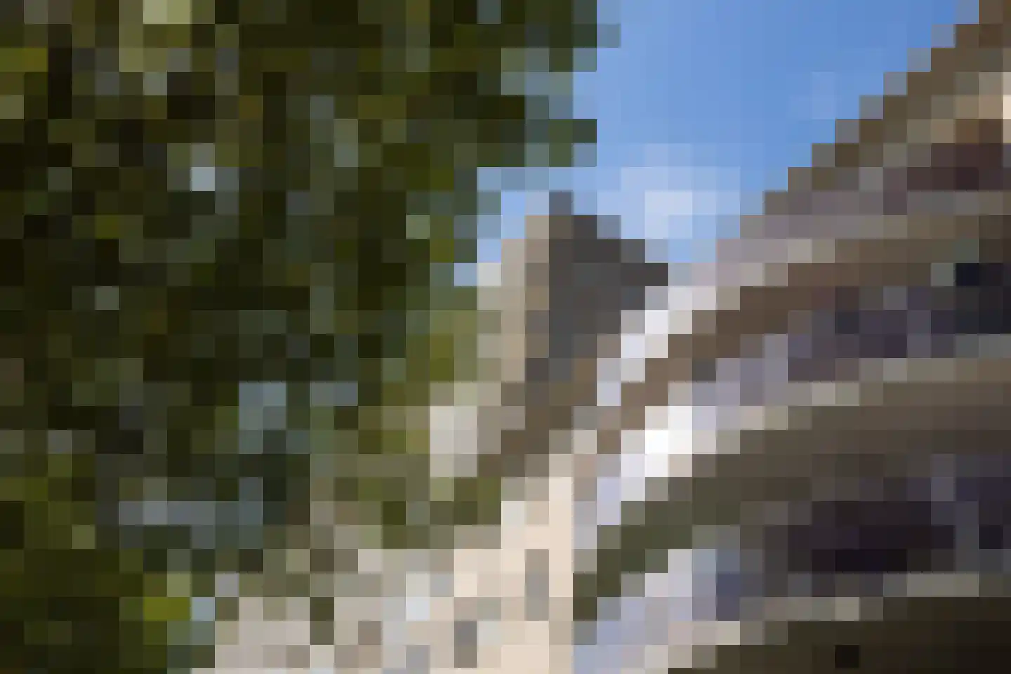 Pettelaarseweg 367 's-Hertogenbosch thumbnail 10