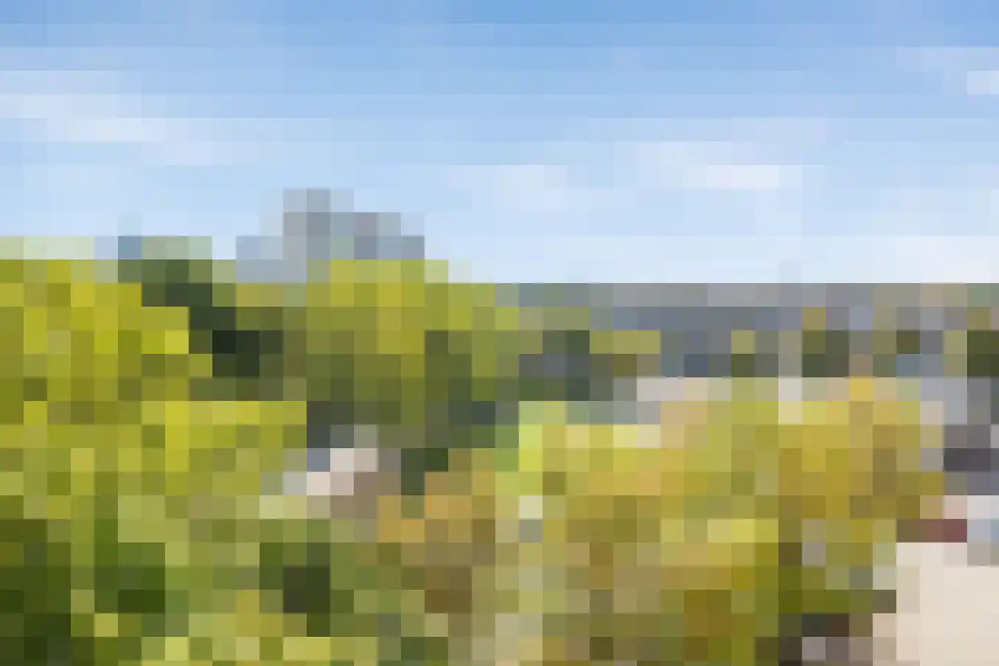 Pettelaarseweg 367 's-Hertogenbosch thumbnail 38