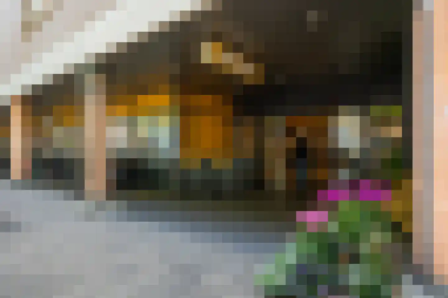 Pettelaarseweg 367 's-Hertogenbosch thumbnail 43