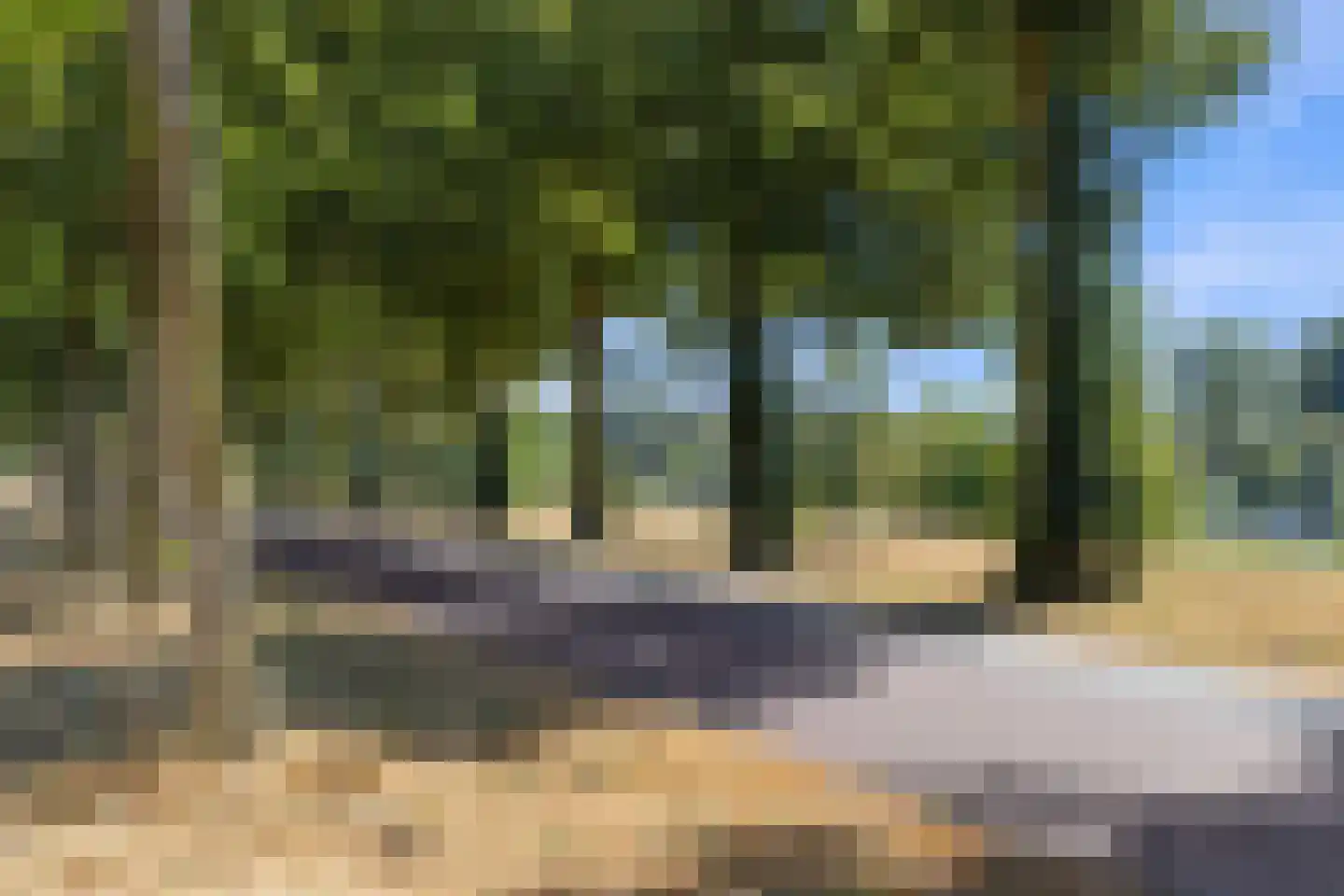 Pettelaarseweg 547 's-Hertogenbosch thumbnail 62