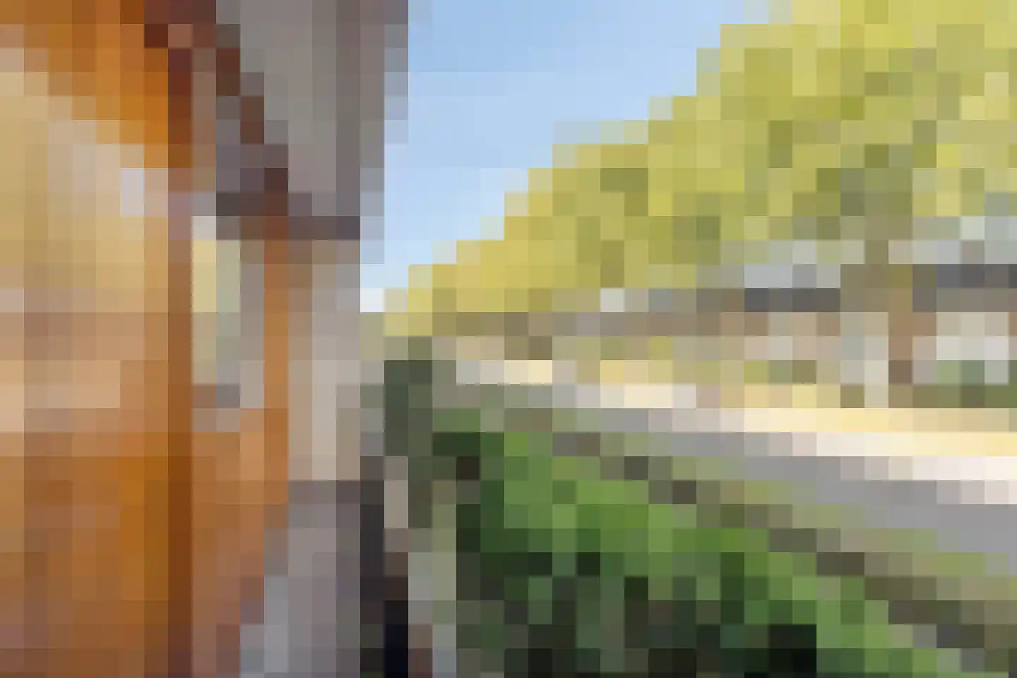 Pettelaarseweg 571 's-Hertogenbosch thumbnail 19