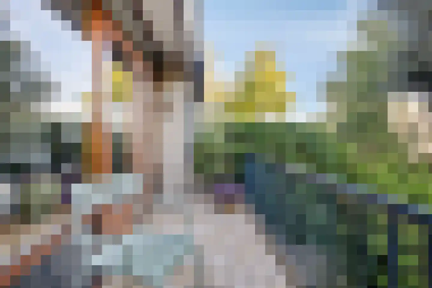 Pettelaarseweg 571 's-Hertogenbosch thumbnail 32