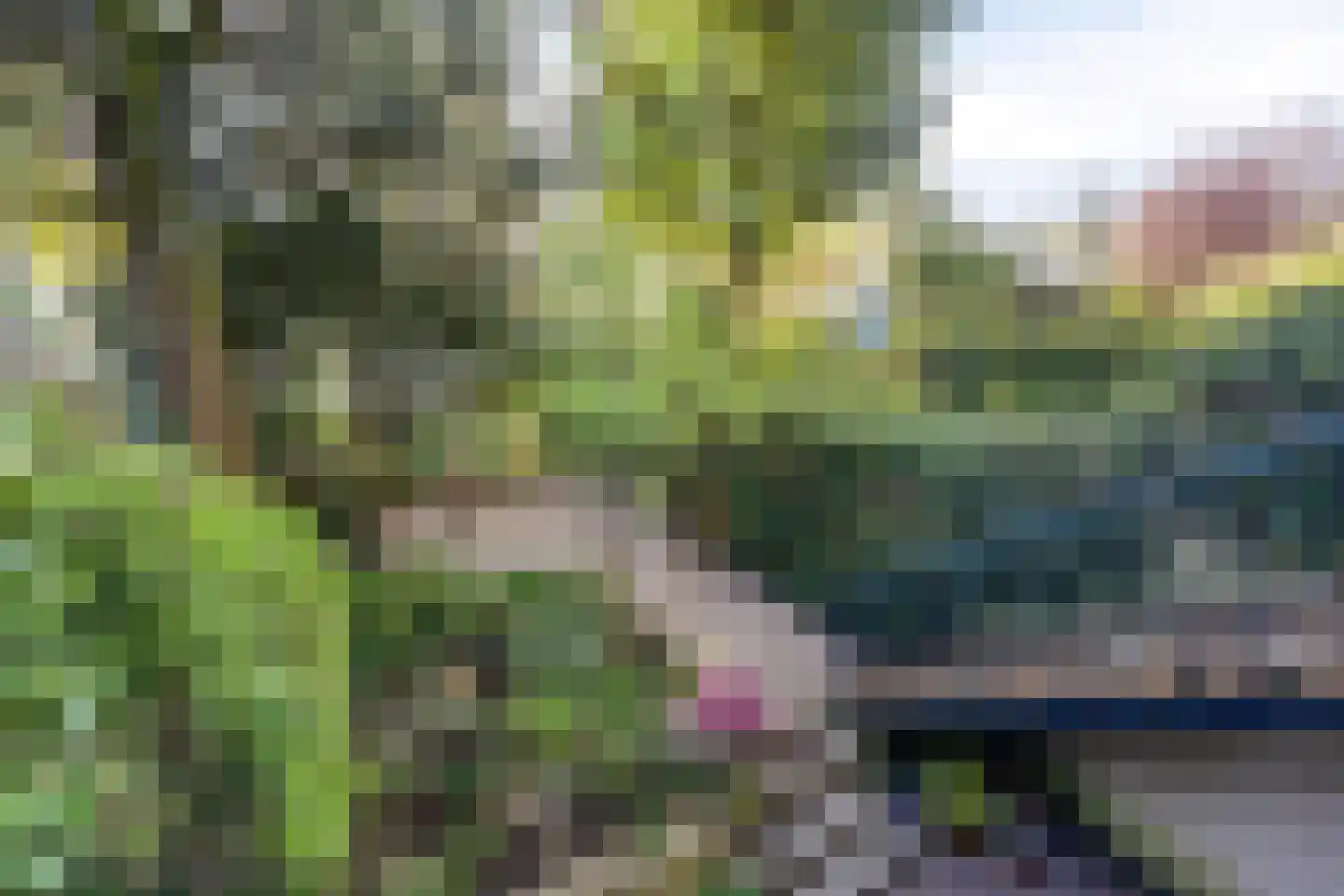 Pettelaarseweg 571 's-Hertogenbosch thumbnail 33