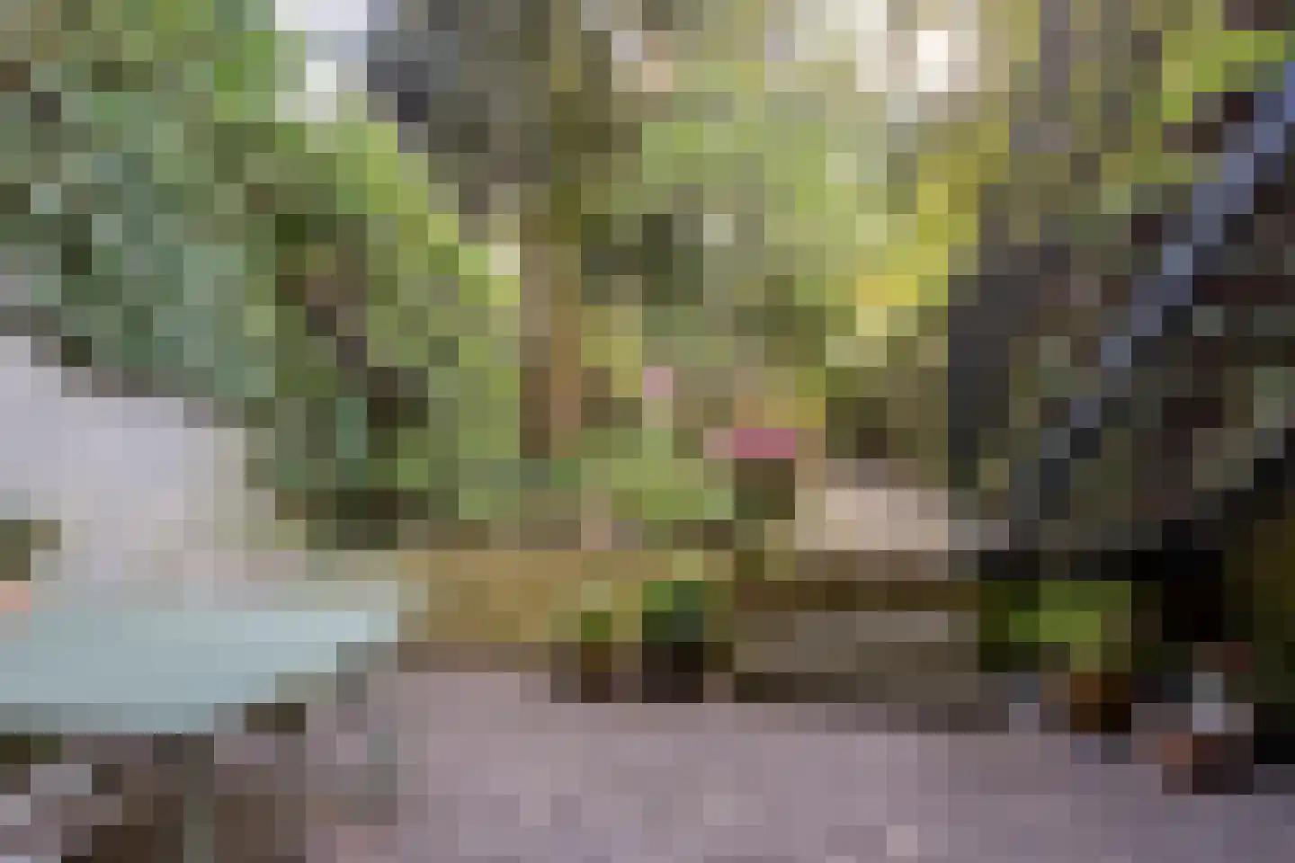 Pettelaarseweg 571 's-Hertogenbosch thumbnail 39