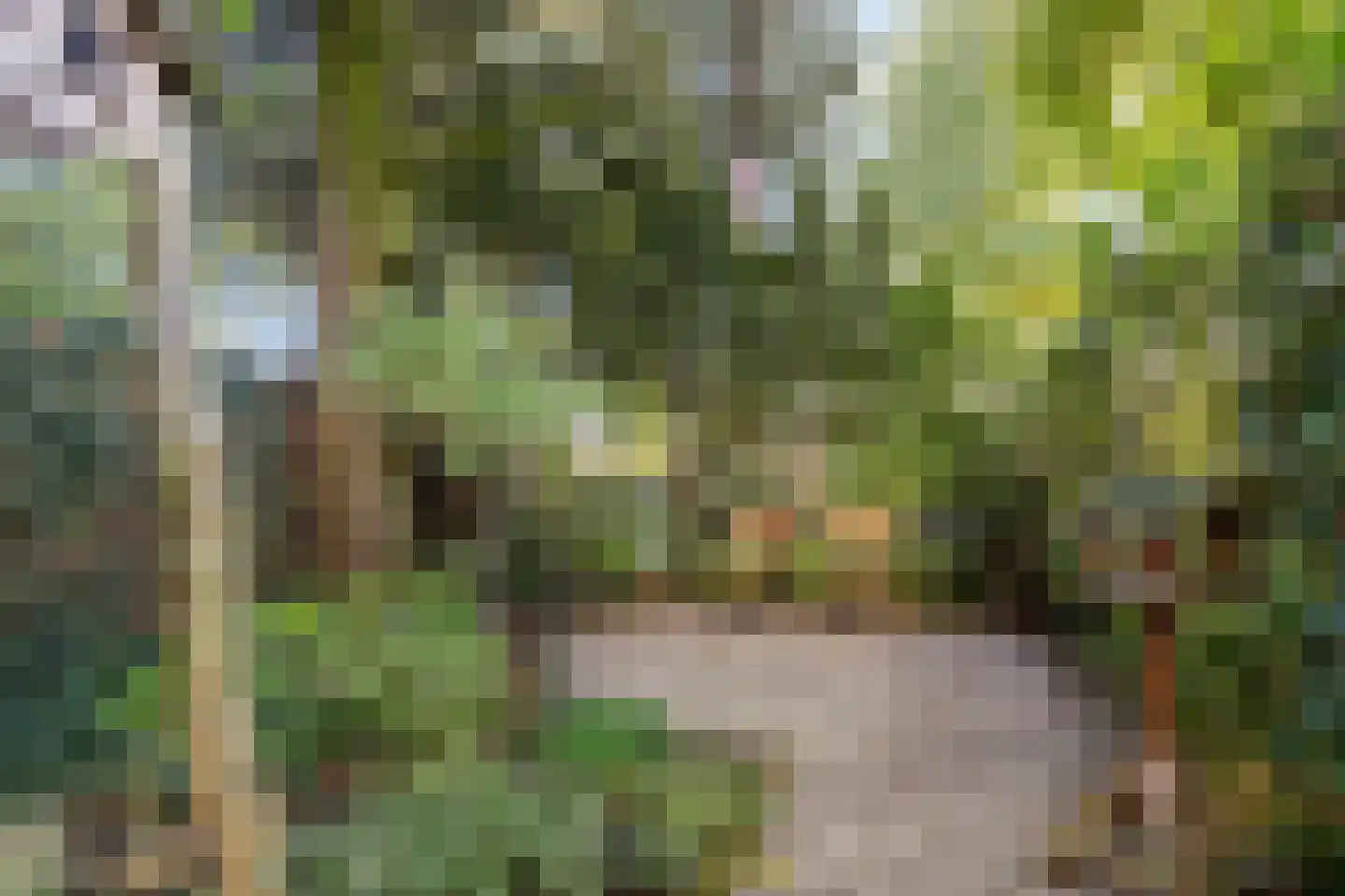 Pettelaarseweg 571 's-Hertogenbosch thumbnail 40