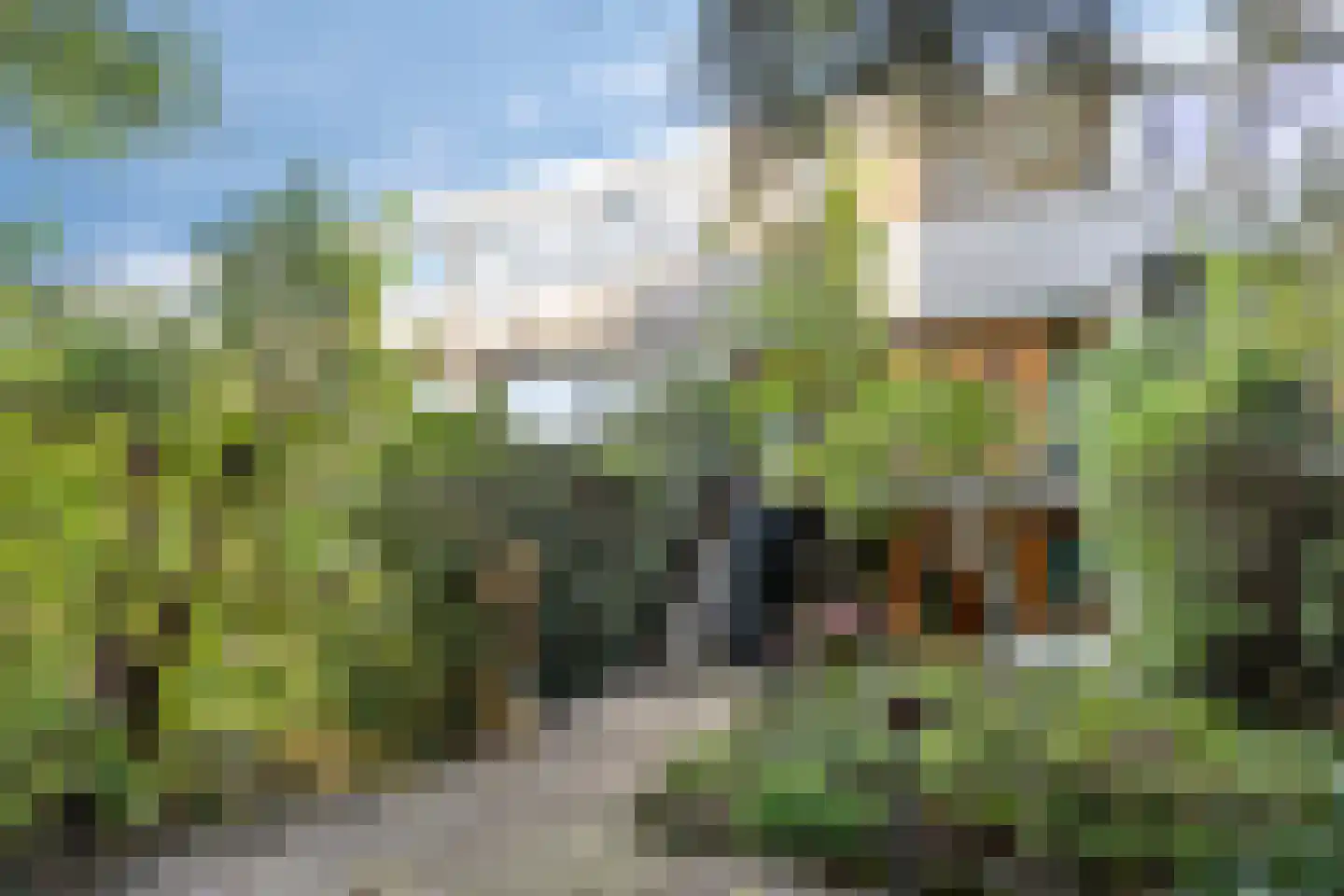 Pettelaarseweg 571 's-Hertogenbosch thumbnail 42