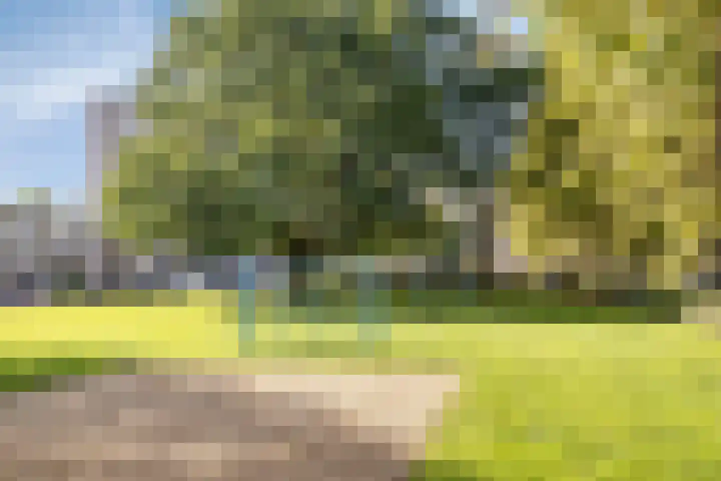 Pettelaarseweg 571 's-Hertogenbosch thumbnail 45