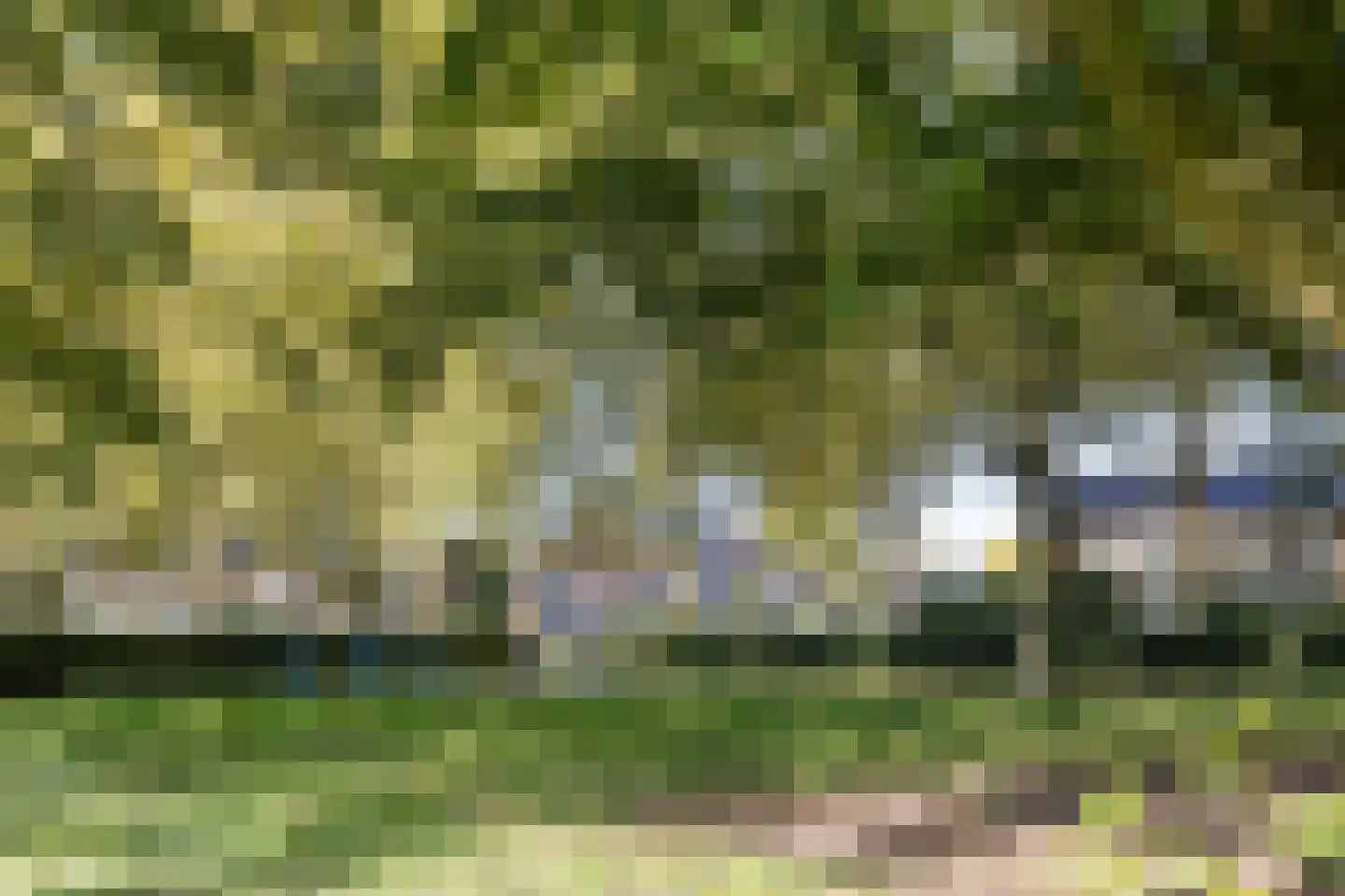 Pettelaarseweg 571 's-Hertogenbosch thumbnail 46