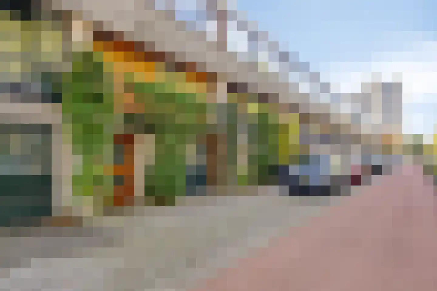 Pettelaarseweg 571 's-Hertogenbosch thumbnail 7