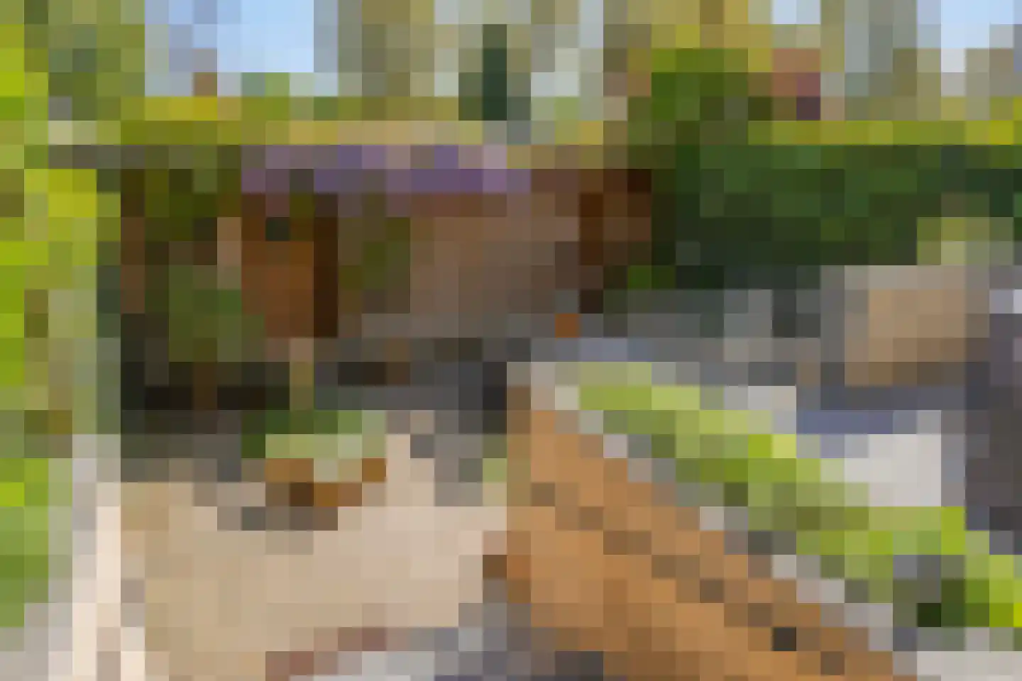 Pettelaarseweg 583 's-Hertogenbosch thumbnail 50