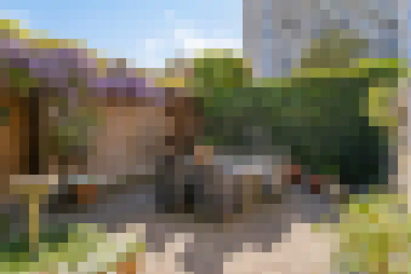 Pettelaarseweg 583 's-Hertogenbosch thumbnail 51